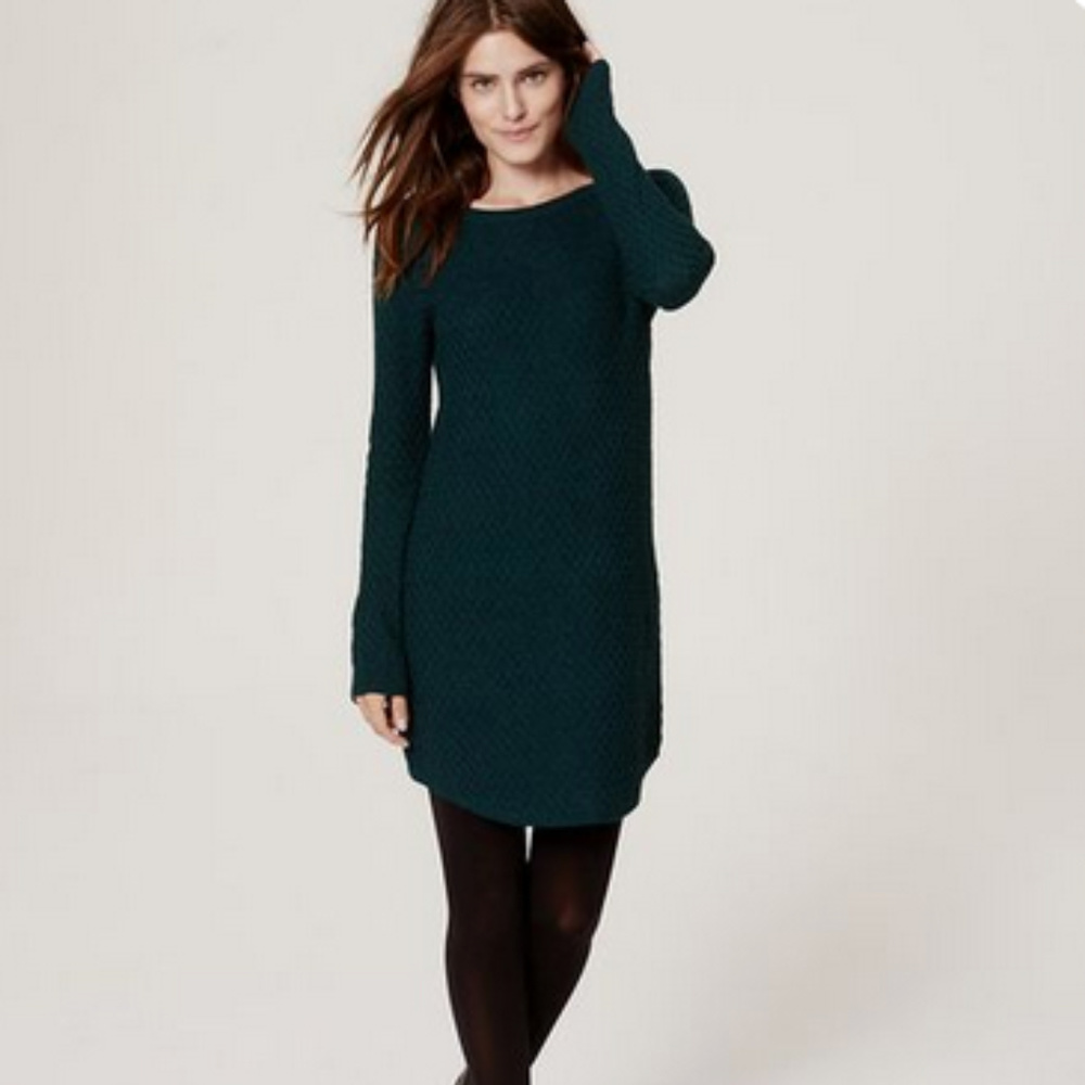 Loft sweater dress